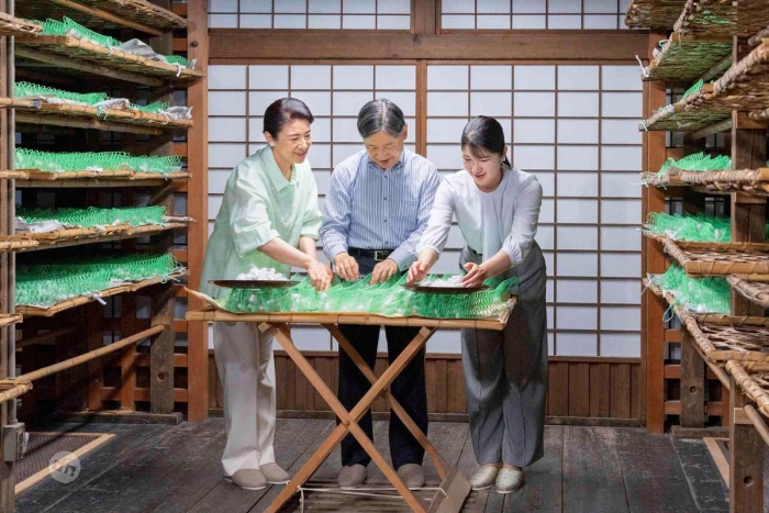 Япония в фото