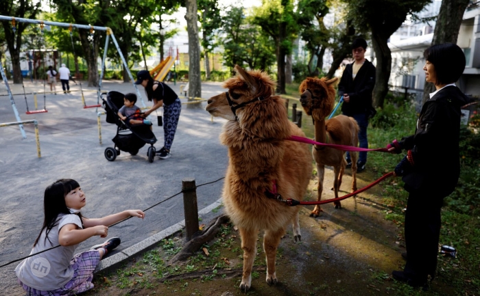 Япония в фото