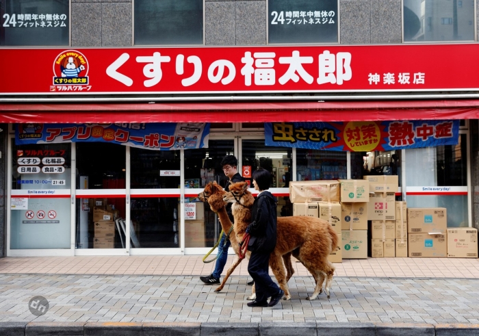 Япония в фото