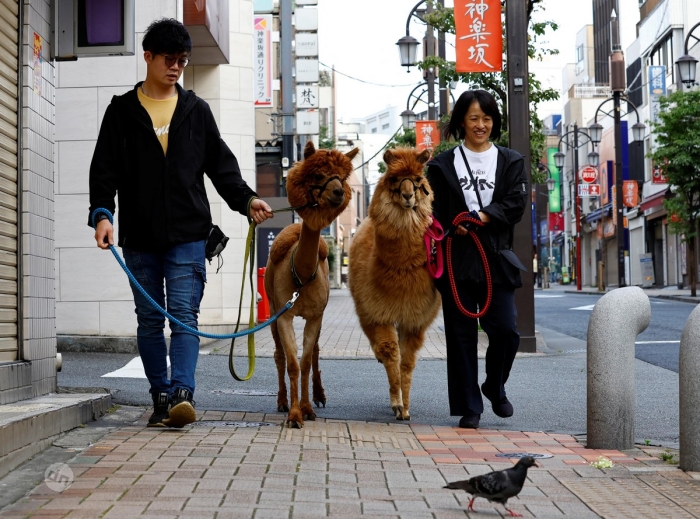 Япония в фото