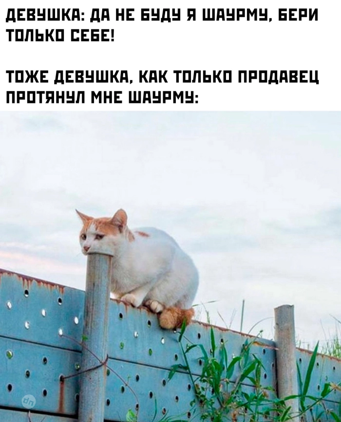 Взрослый юмор