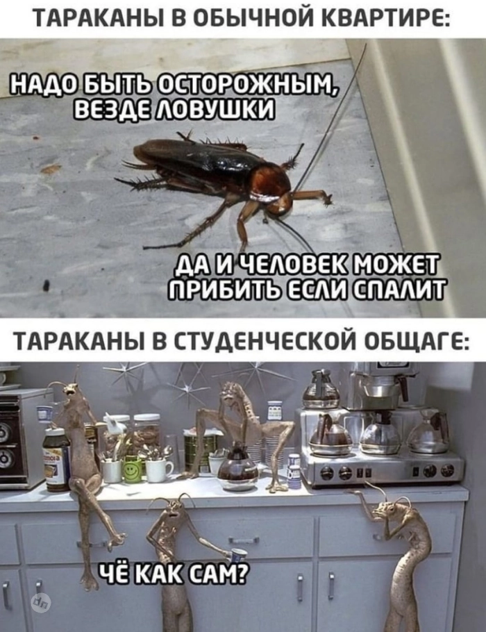 Взрослый юмор