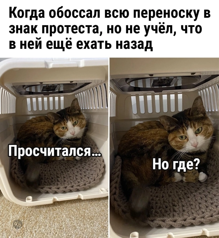 Взрослый юмор