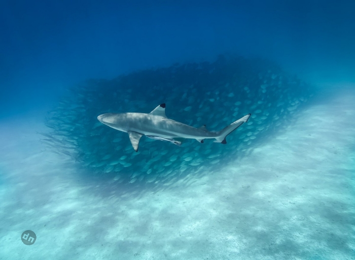 Фото путешествий от Флориана Кричбаумера