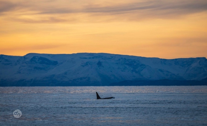 Фото путешествий от Флориана Кричбаумера