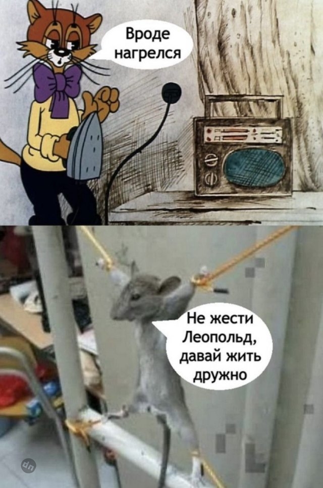 Смешные картинки и мемы