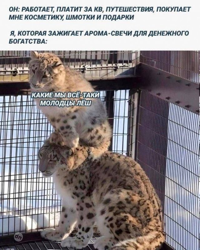 Смешные картинки и мемы