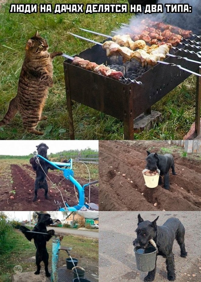 Смешные картинки и мемы