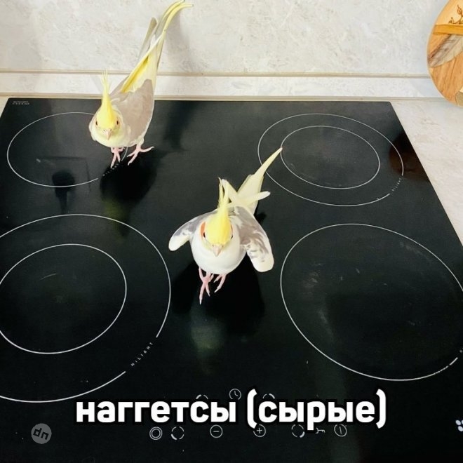 Смешные картинки и мемы