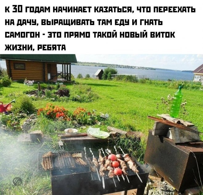Смешные картинки и мемы