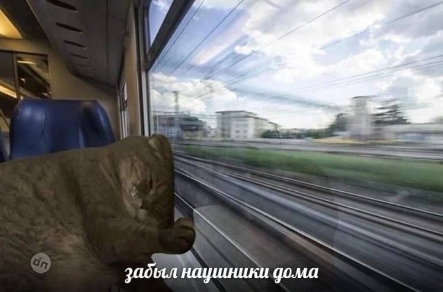 Смешные картинки и мемы