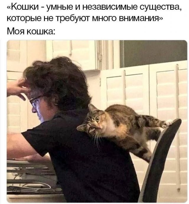 Смешные картинки и мемы