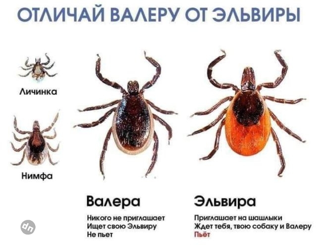 Смешные картинки и мемы