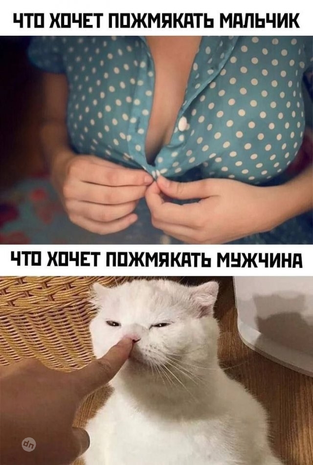 Смешные новые картинки с надписями