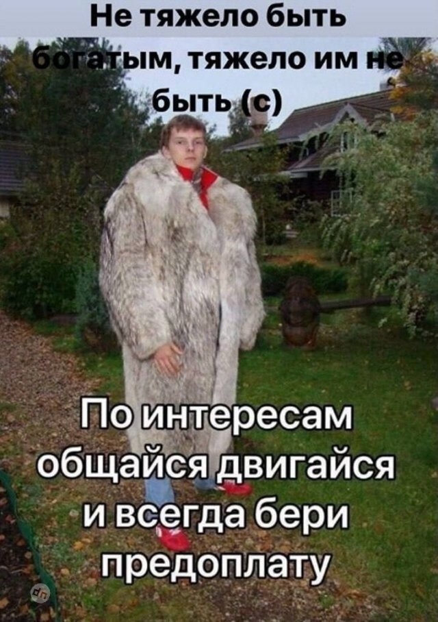 Смешные новые картинки с надписями