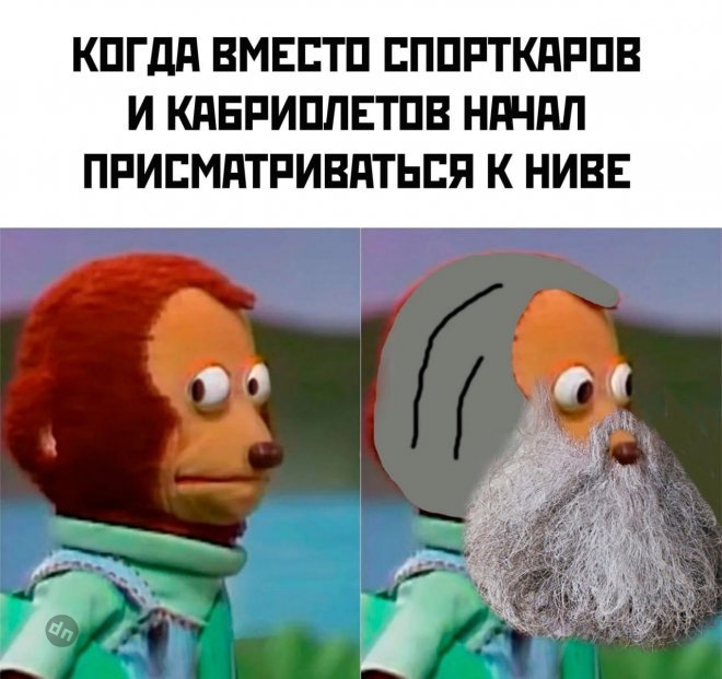 Смешные новые картинки с надписями