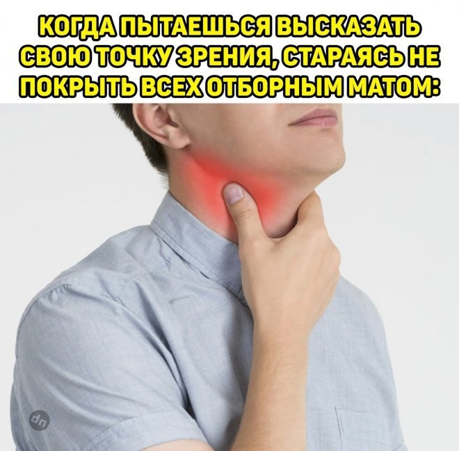 Смешные новые картинки с надписями