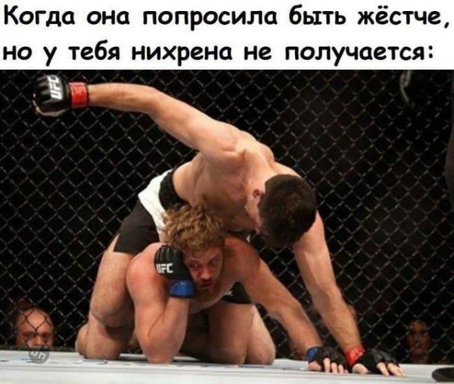 Смешные новые картинки с надписями