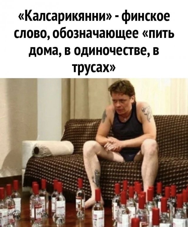 Смешные новые картинки с надписями