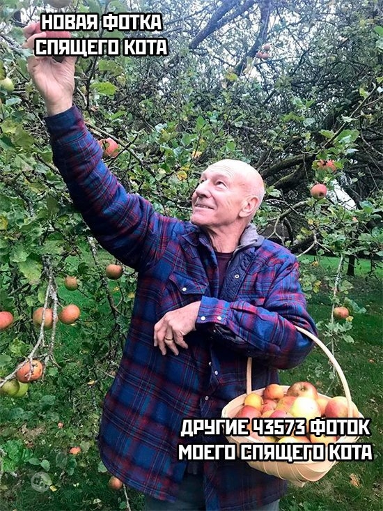 Смешные новые картинки с надписями