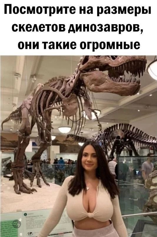 Смешные новые картинки с надписями