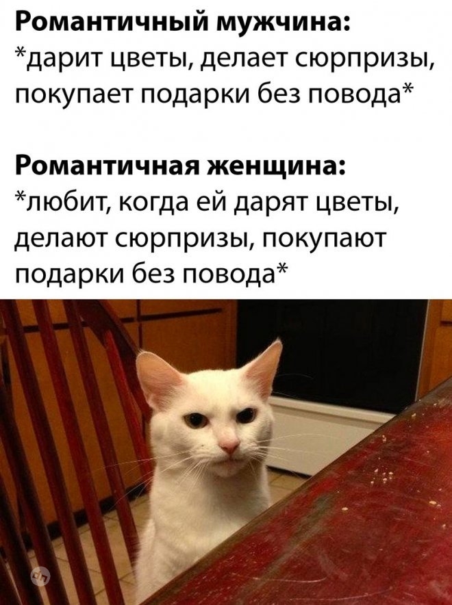 Смешные новые картинки с надписями