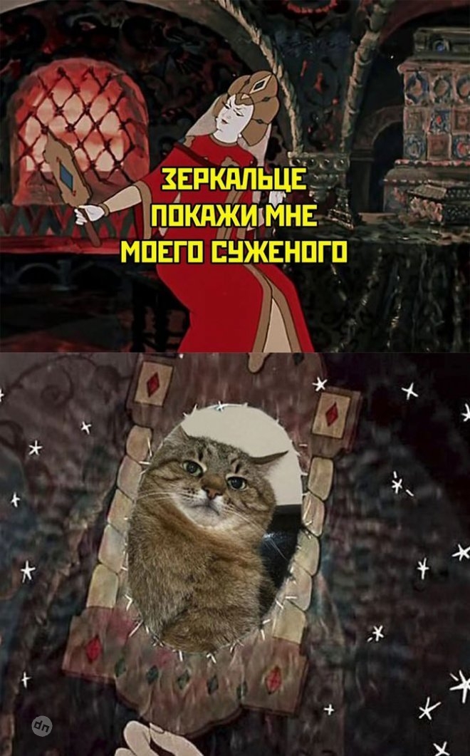 Смешные новые картинки с надписями