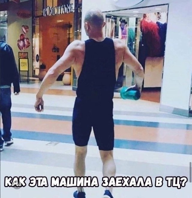 Смешные новые картинки с надписями