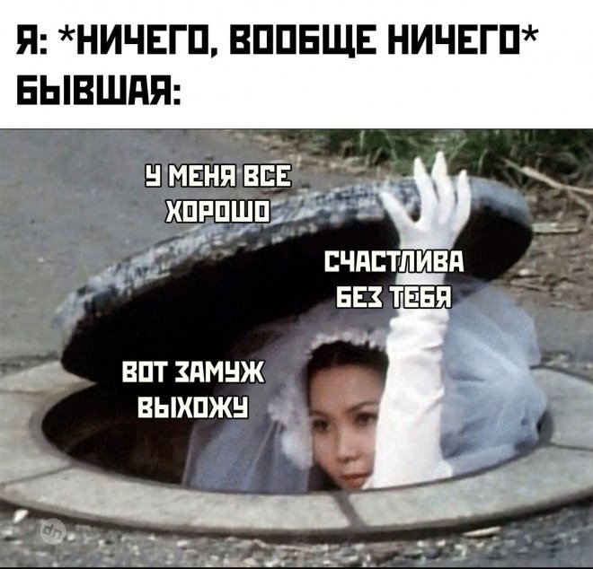 Смешные новые картинки с надписями