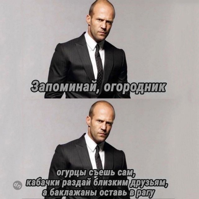 Смешные новые картинки с надписями