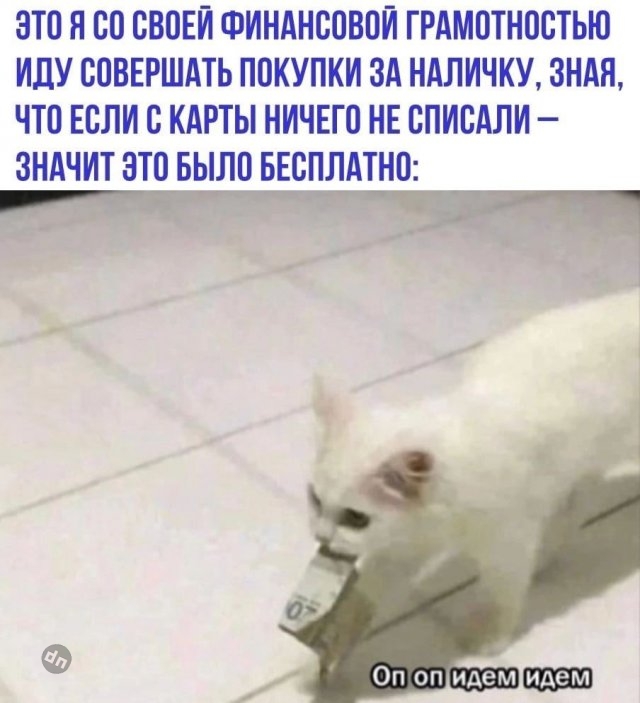 Смешные новые картинки с надписями