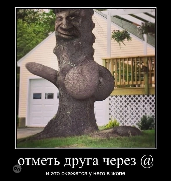 Взрослый юмор