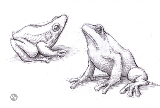 Картинка для простой срисовки