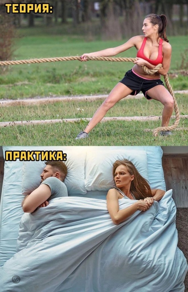 Смешные картинки с юмором