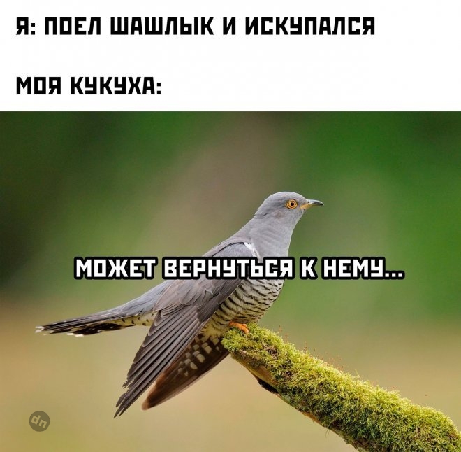 Смешные картинки с юмором