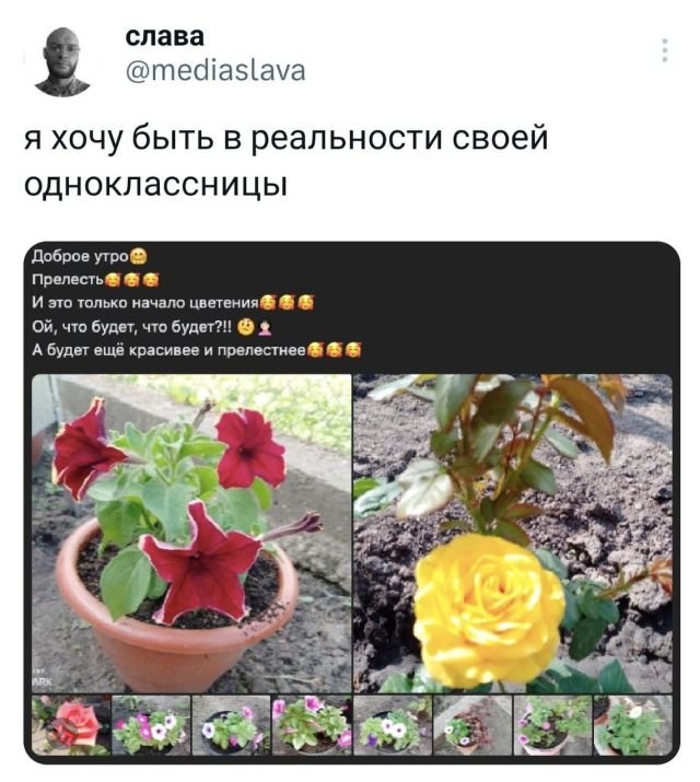 Смешные комментария
