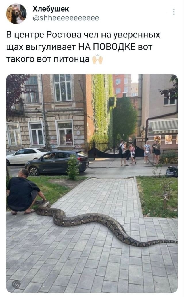 Смешные комментария