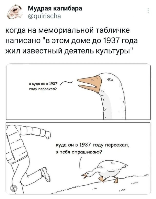 Смешные комментария