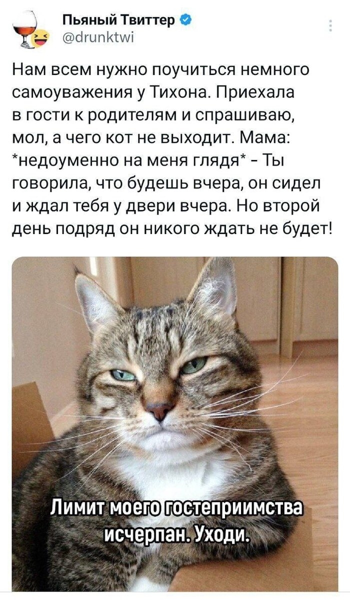 Смешные комментария