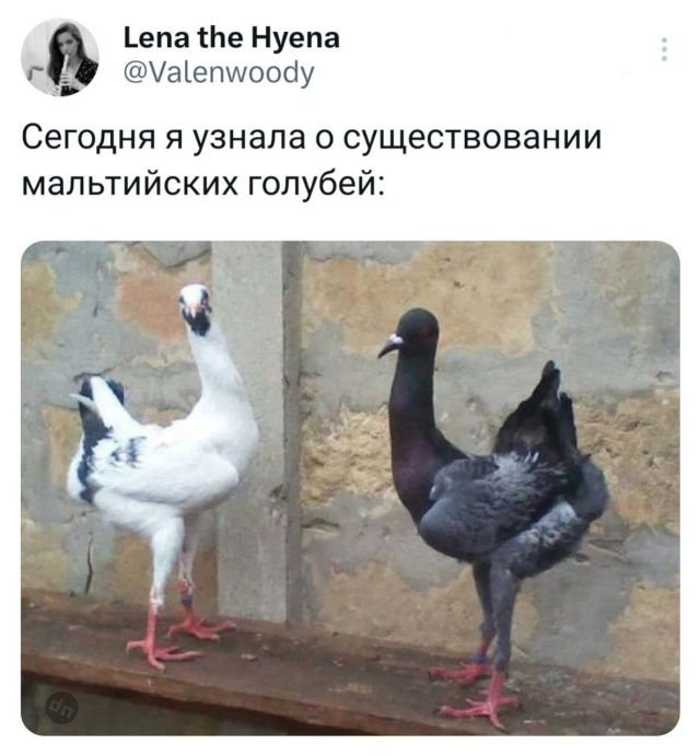 Ржачные комментария из сети