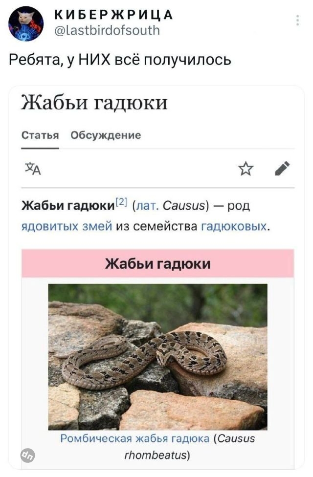 Ржачные комментария из сети