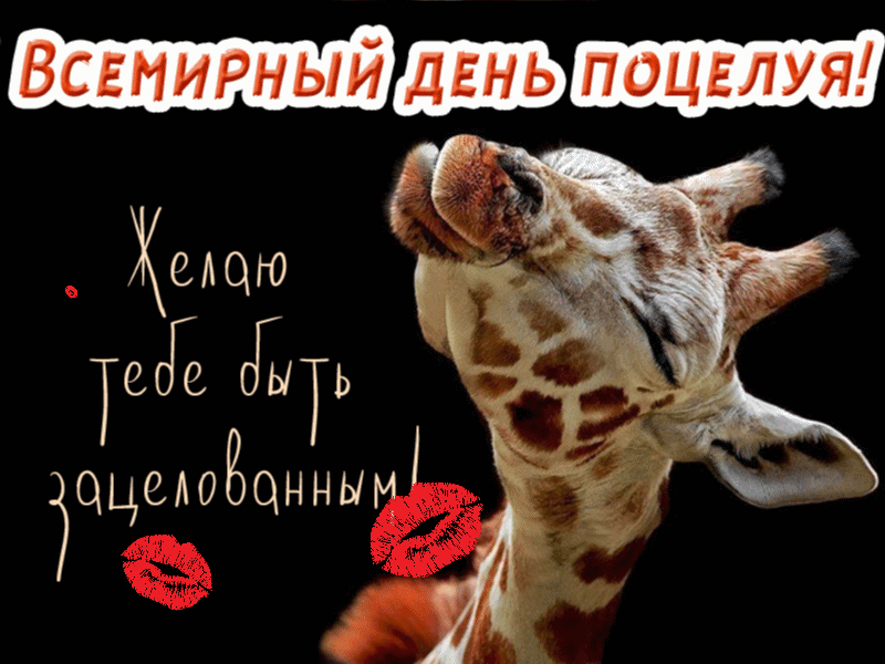 Всемирный день поцелуя - гиф открытка