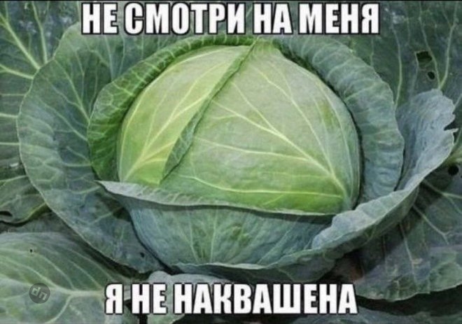 Самые веселые картинки