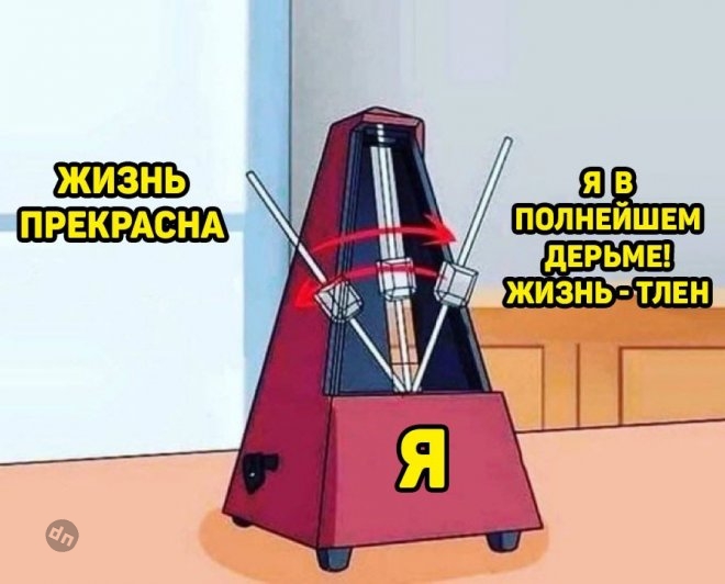 Самые веселые картинки