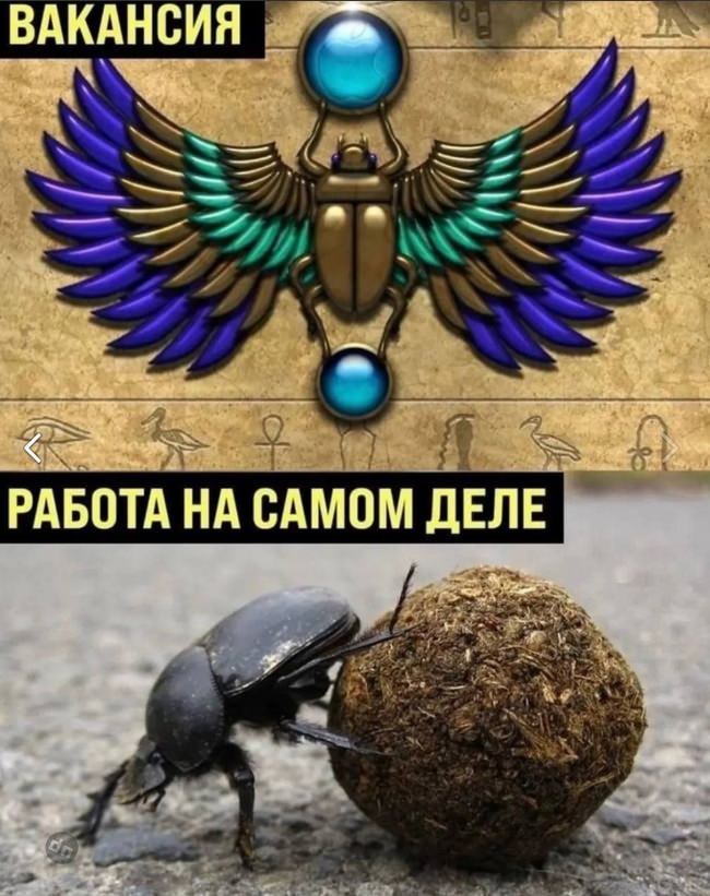 Самые веселые картинки