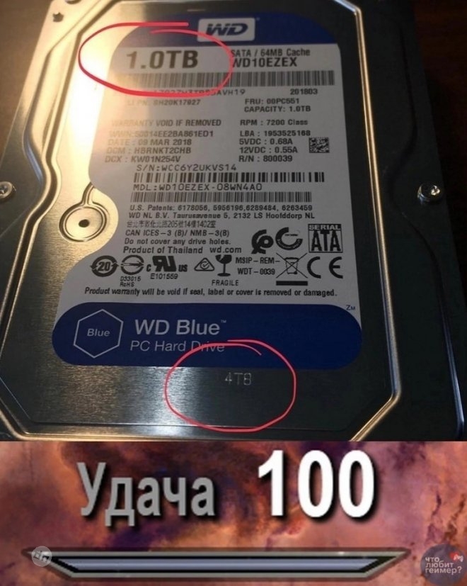 Самые веселые картинки