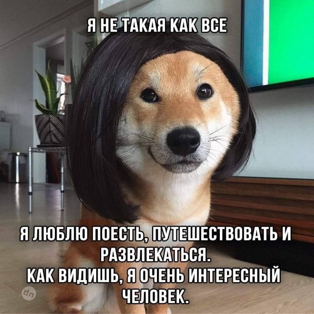 Самые веселые картинки