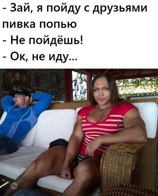 Самые веселые картинки