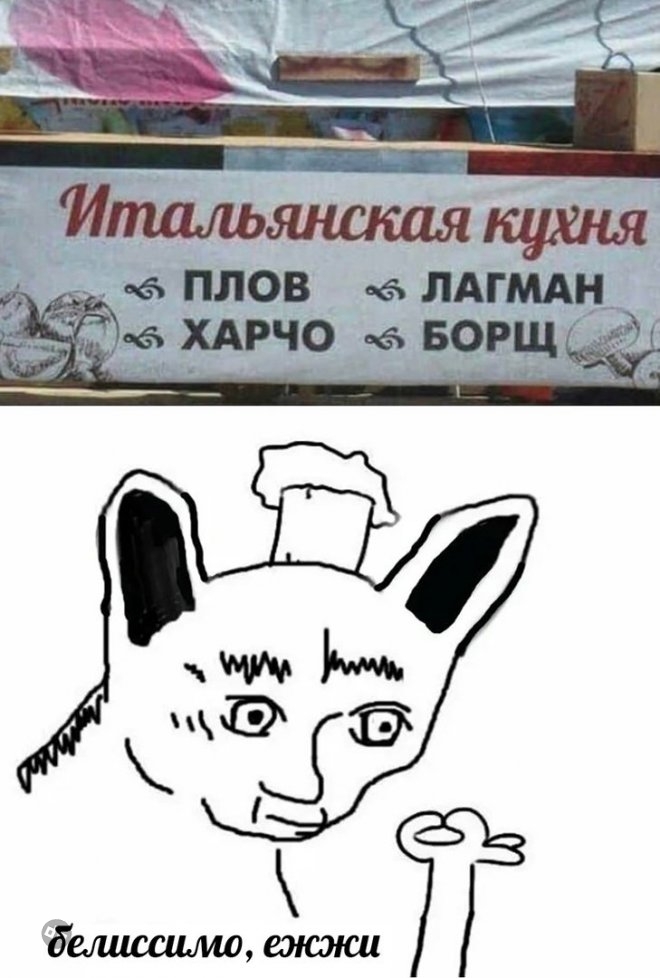 Самые веселые картинки