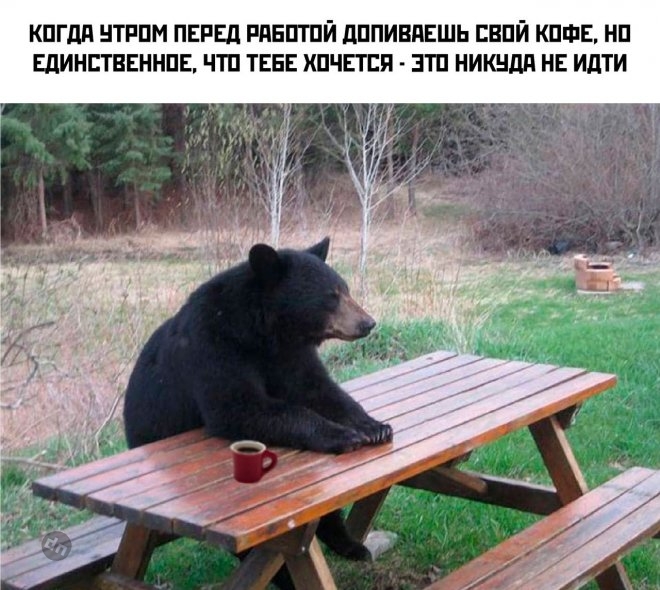 Самые веселые картинки